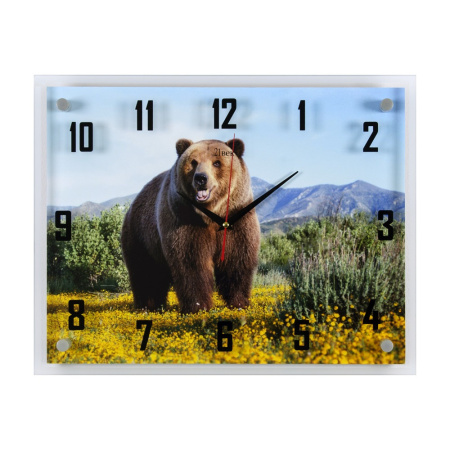 3545 -1141 Часы настенные "21 Век" "Медведь на цветущем поле в горах"