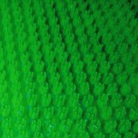 Щетинистое покрытие Голиаф Зеленый (0,9 м х 15м)  