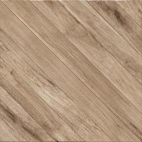 Керамогранит Древесина бежевая/Lignum beige PG 01 450х450 мм