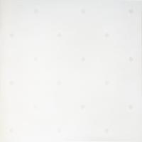 Керамогранит Gracia Ceramica Взгляд светлый/Glance light PG 02, светлый, 450х450 мм