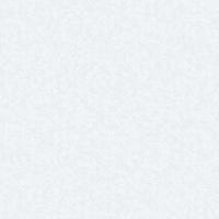 167191-86  Вернисаж Обои винил. на флиз. основе (1,06*10,05) (9)