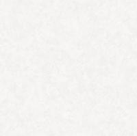 8623-03 (6) WallSecret Comfort Обои горячего тиснения на флизелиновой основе 1,06*10,05												