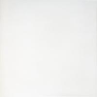 Керамогранит Gracia Ceramica Взгляд светлый/Glance light PG 01, светлый, 450х450 мм
