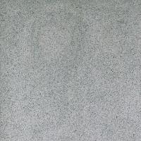 Техногрес серый 01 (300х300х8)  (14)