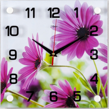 2525-009 Часы настенные "Розовые ромашки" "21 Век"