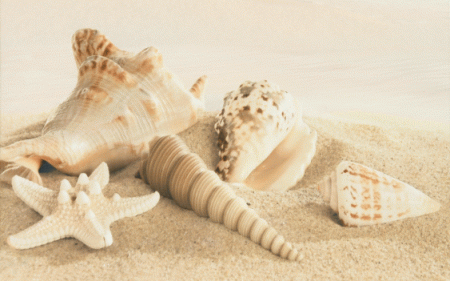 Декор Gracia Ceramica Amalfi sand decor 01, песочный, 400х250 мм 
